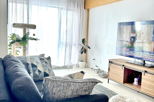 House sit in Montréal, QC, Canada