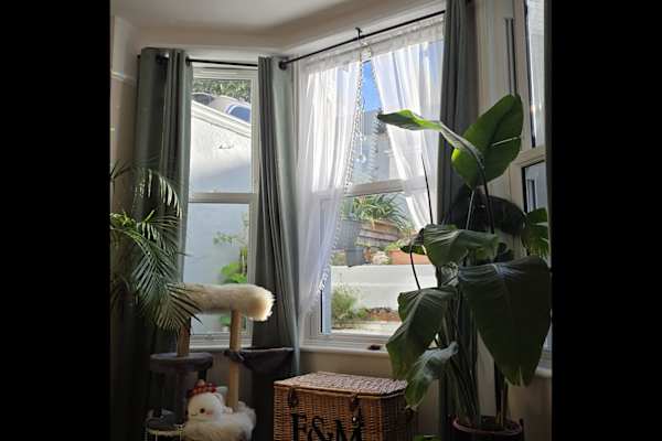 House sit in Brighton, United Kingdom