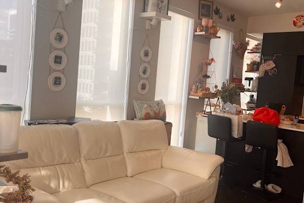 House sit in Toronto, ON, Canada