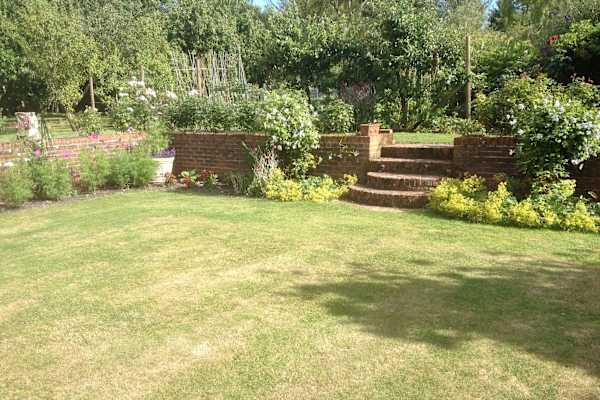 House sit in Petersfield, United Kingdom