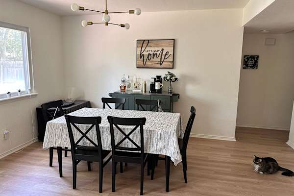 House sit in Austin, TX, US