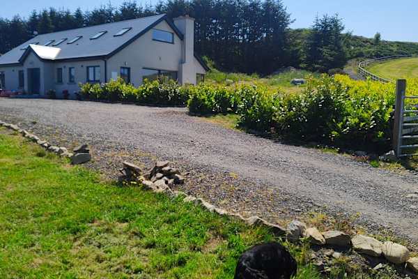 House sit in Newtownmountkennedy, Ireland