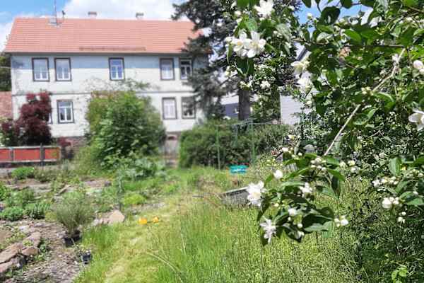 House sit in Birstein, Germany