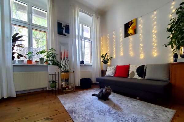 House sit in Berlin, Germany