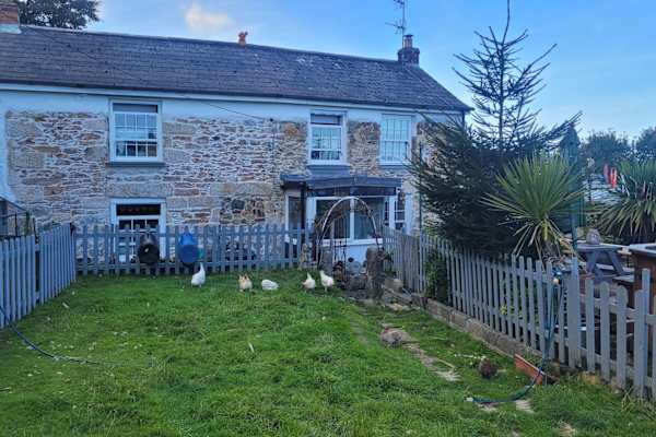 House sit in St. Day, United Kingdom