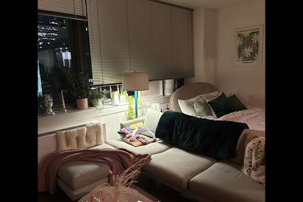 House sit in New York City, NY, US