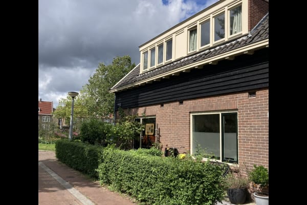 House sit in Amsterdam, Netherlands