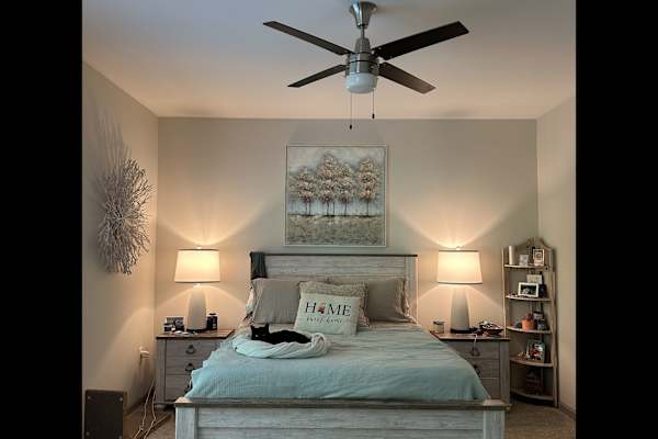 House sit in Chattanooga, TN, US