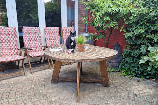 House sit in Utrecht, Netherlands