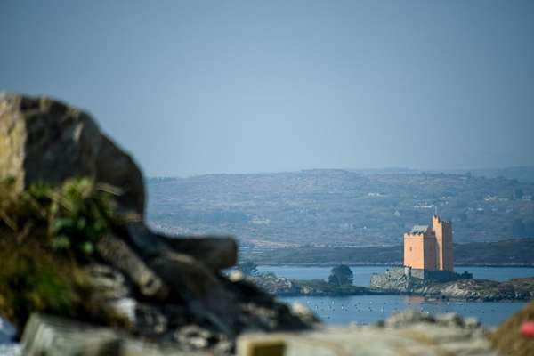 House sit in Skibbereen, Ireland