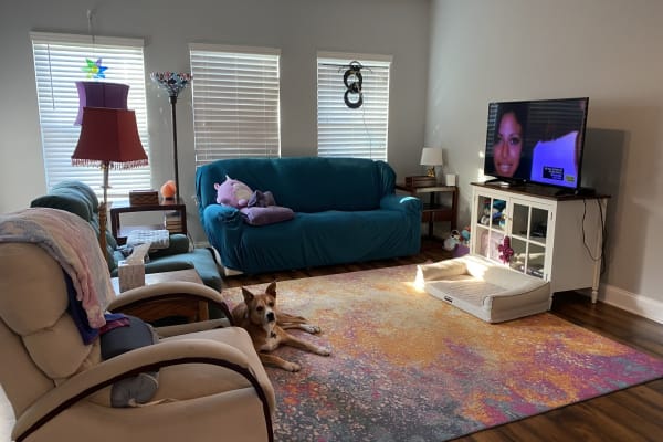 House sit in New Orleans, LA, US