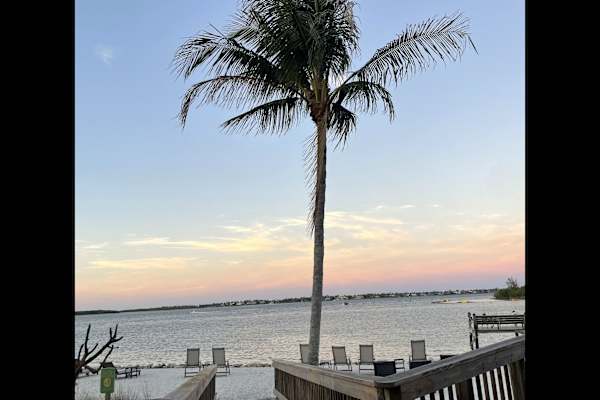 House sit in Stuart, FL, US