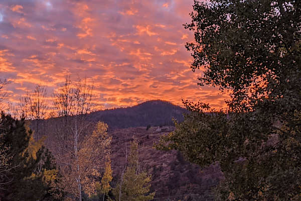 House sit in Durango, CO, US