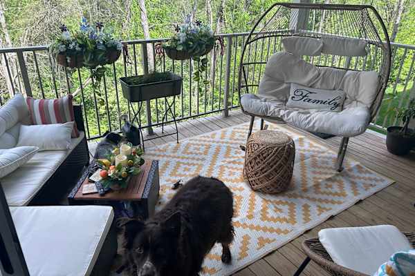 House sit in Alexandria, KY, US