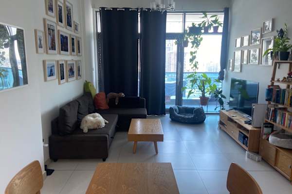 House sit in Dubai, United Arab Emirates