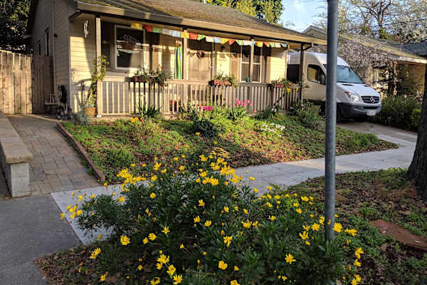 House sit in Sacramento, CA, US