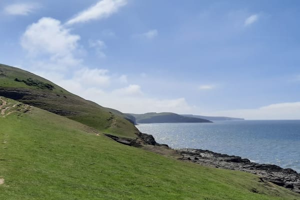 House sit in Saint Athan, United Kingdom