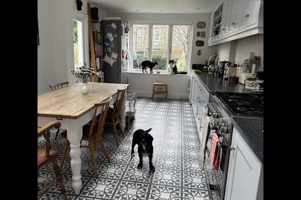 House sit in London, United Kingdom