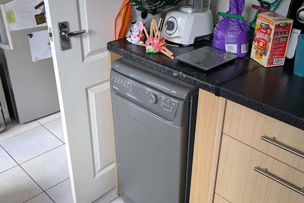 House sit in Reading, United Kingdom