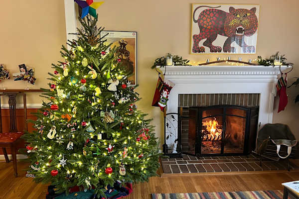 House sit in Charlottesville, VA, US