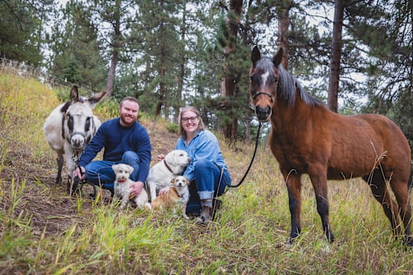 House sit in Golden, CO, US