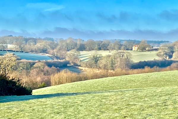 House sit in Wadhurst, United Kingdom