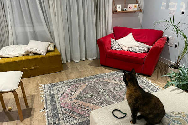 House sit in London, United Kingdom