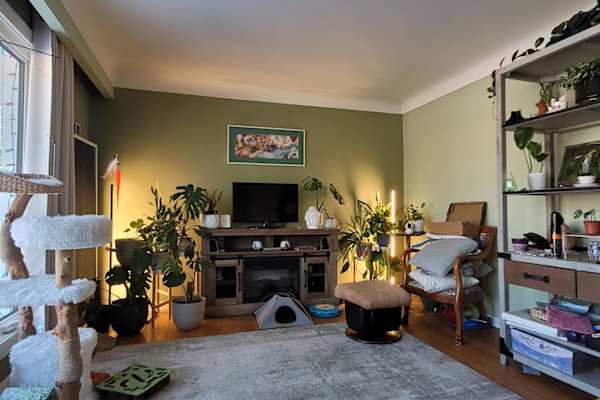 House sit in Greater Sudbury, ON, Canada