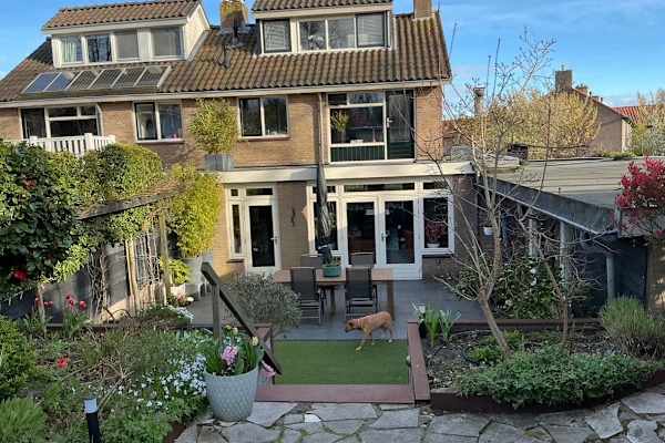 House sit in Haarlem, Netherlands