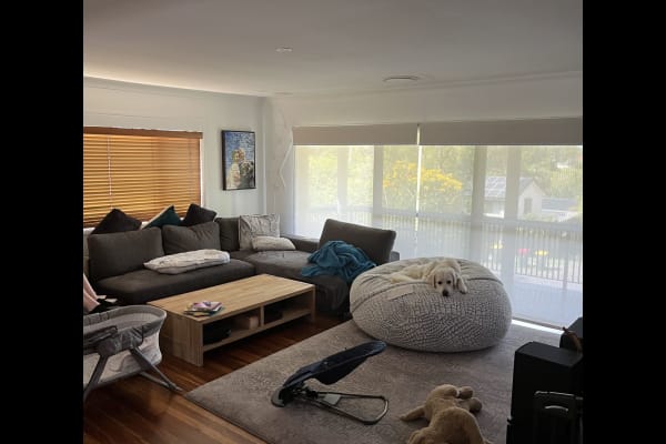 House sit in Brisbane, QLD, Australia
