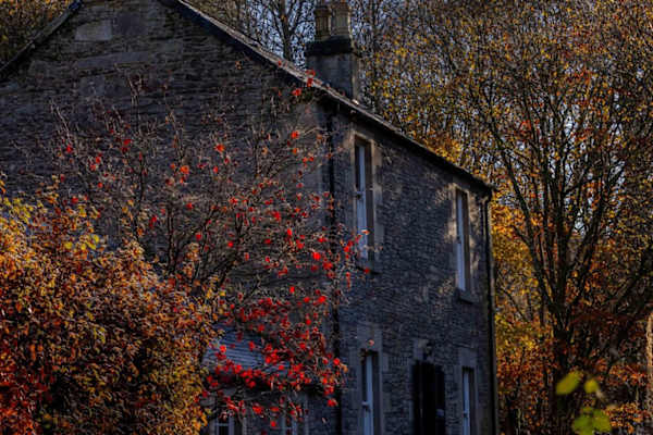 House sit in Lanark, United Kingdom