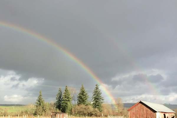 House sit in Sublimity, OR, US