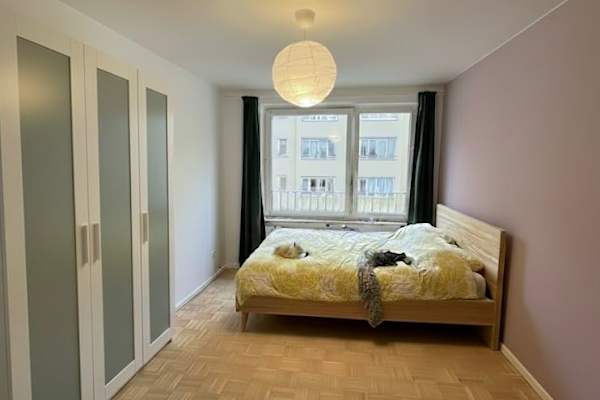 House sit in Munich, Germany