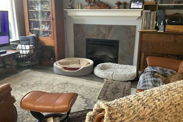 House sit in Maple Ridge, BC, Canada