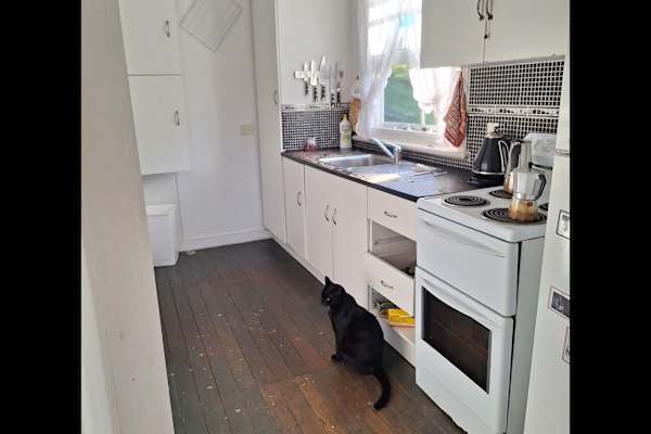 House sit in Central Coast, NSW, Australia