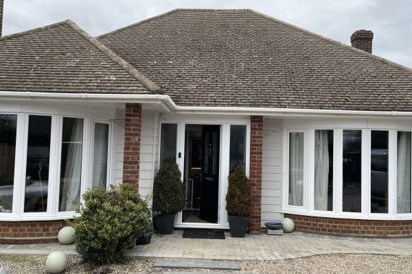 House sit in High Ongar, United Kingdom