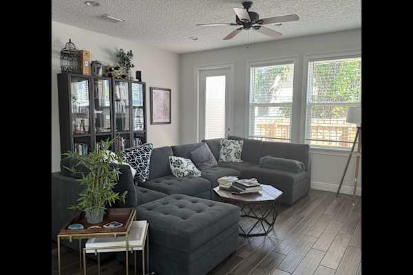 House sit in Tampa, FL, US