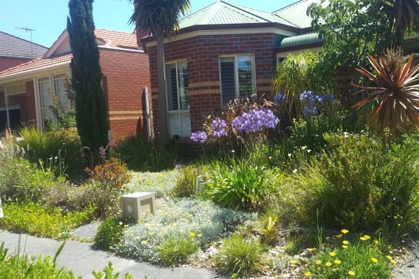 House sit in Melbourne, VIC, Australia