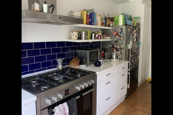 House sit in London, United Kingdom