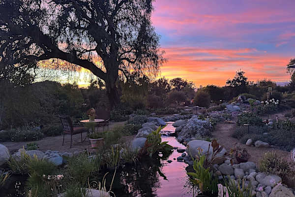 House sit in Camarillo, CA, US