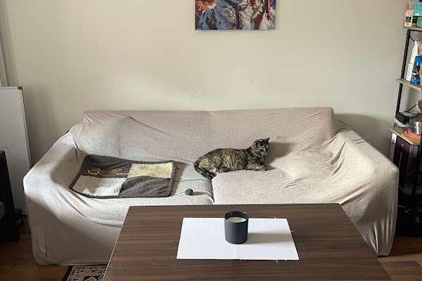 House sit in Bansko, Bulgaria