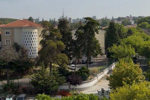 House sit in Lisbon, Portugal
