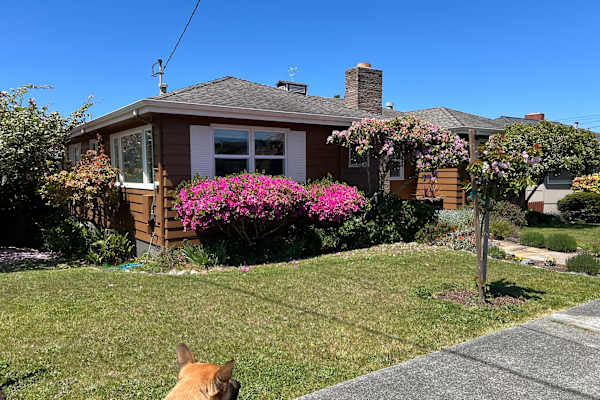 House sit in Eureka, CA, US