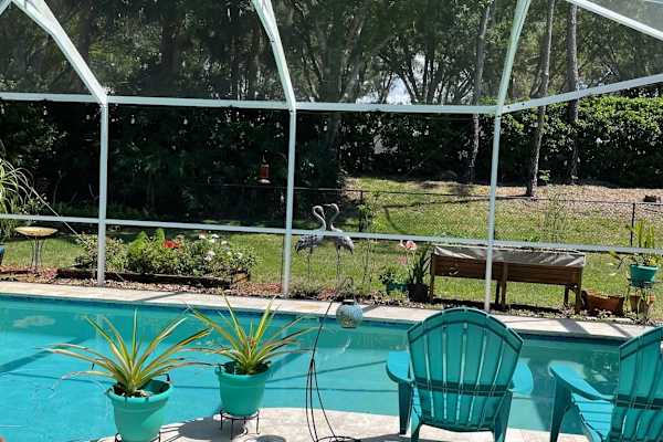 House sit in Palm Harbor, FL, US