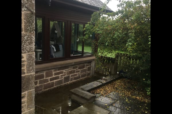 House sit in Forfar, United Kingdom