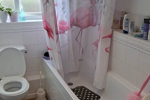 House sit in Saxmundham, United Kingdom