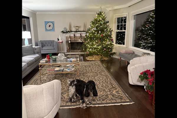 House sit in New Rochelle, NY, US