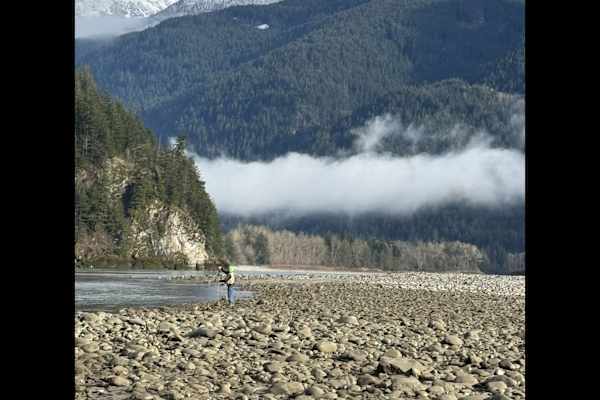 House sit in Hope, BC, Canada