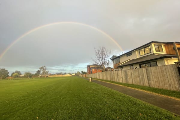 House sit in Te Atatu, New Zealand