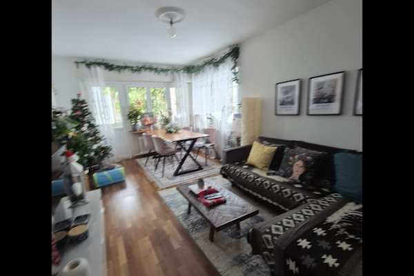 House sit in Zürich, Switzerland